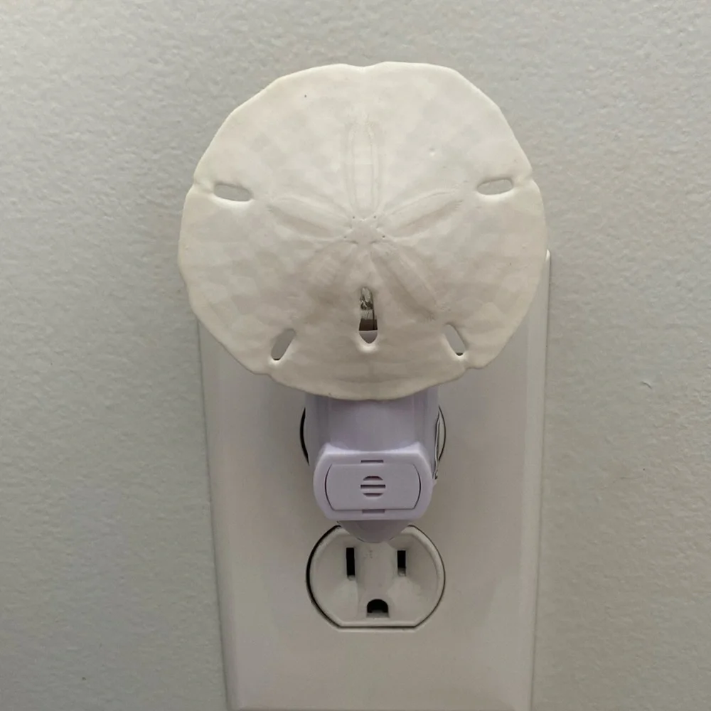 Sand Dollar auto on night light - Picture 2 of 8